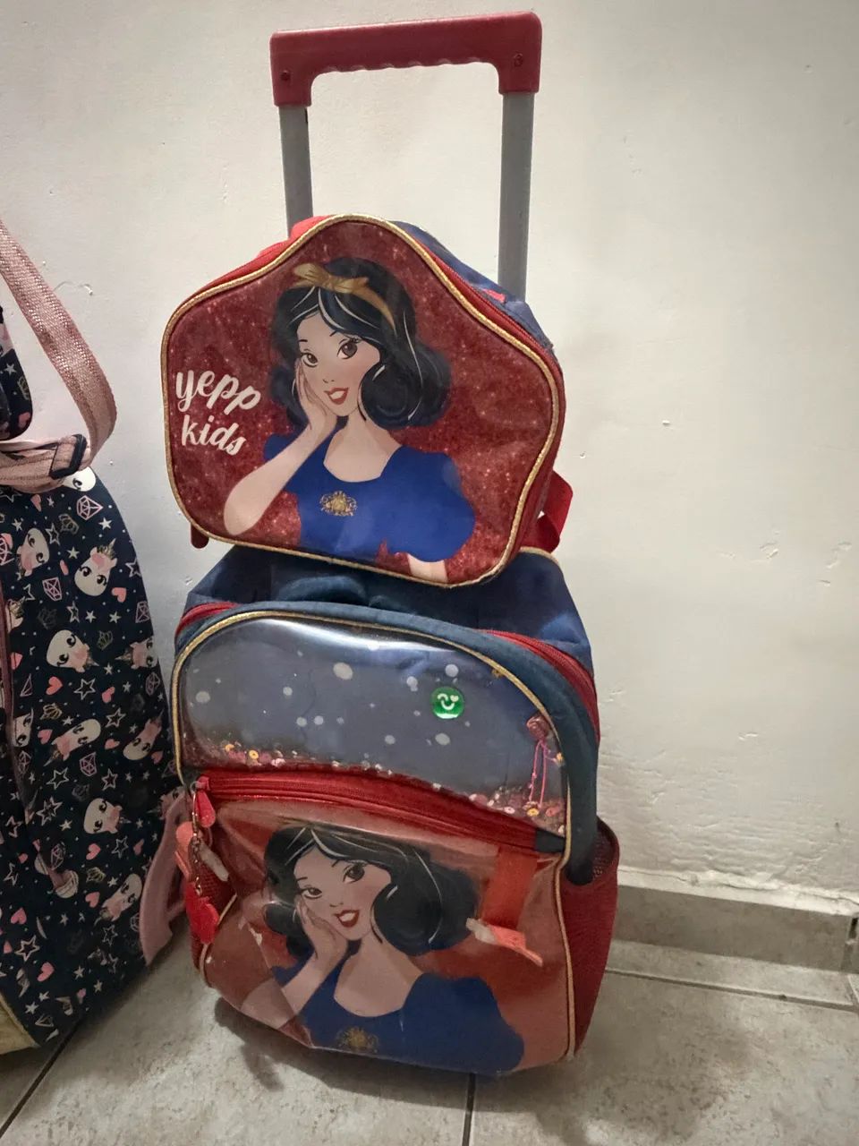 Vendo bolsas usadas em bom estado 