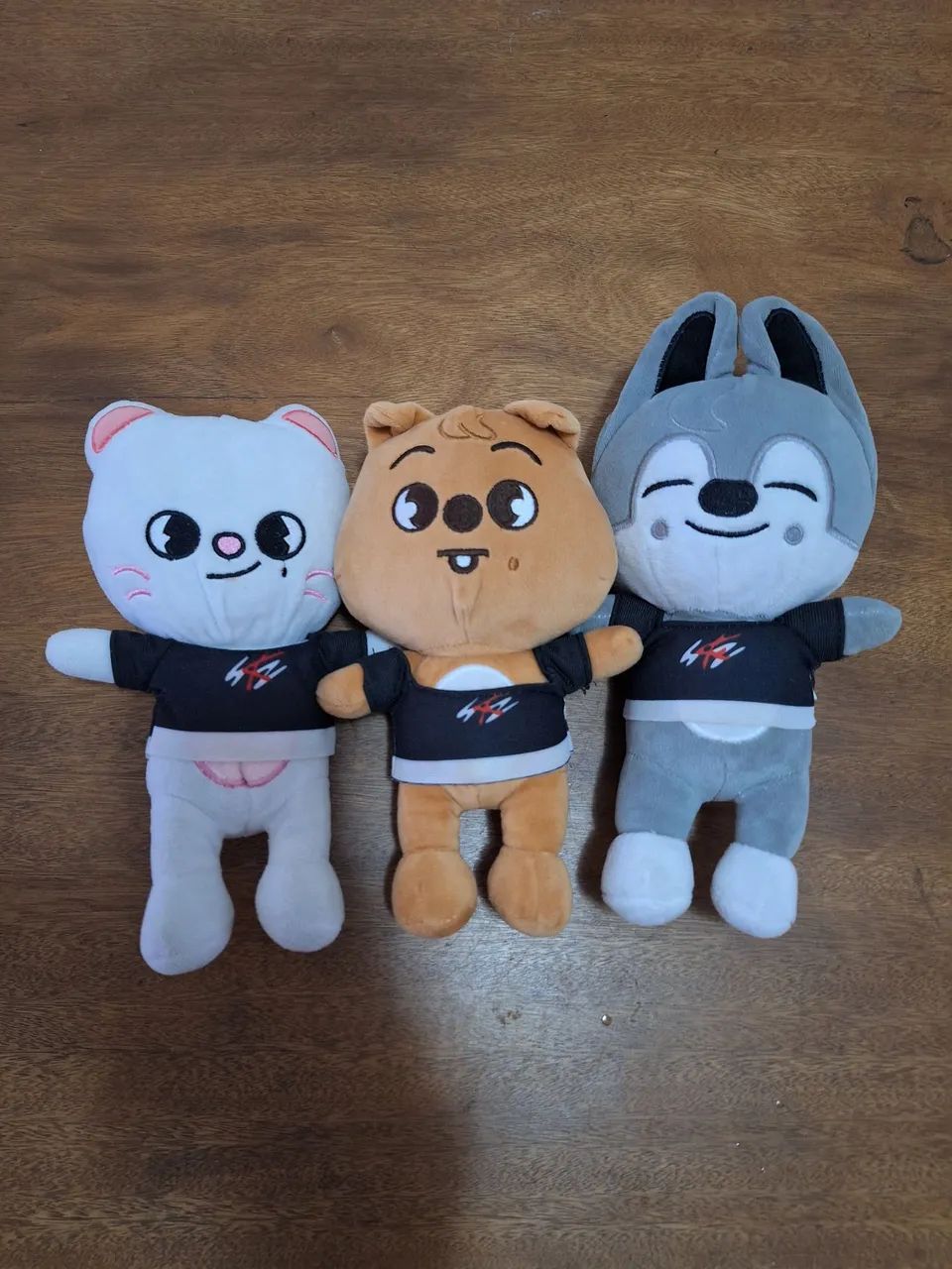 Vendo kit de coleção pelucia Kpop. - Foto 4