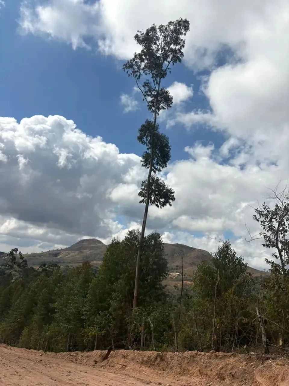 Terreno de 1000m² em São Roque  Excelente Localização na Divisa com Mairinque - Foto 3