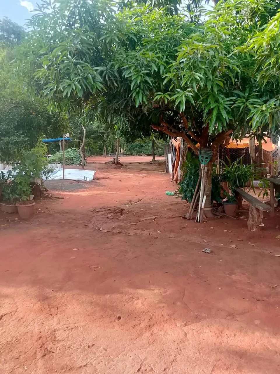 Chácara  - Foto 2