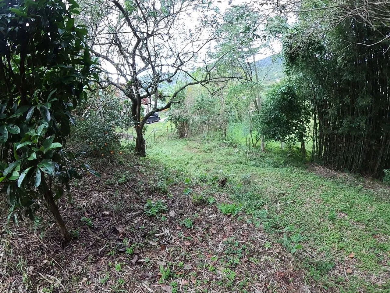 Terreno de 2700 m² à venda, Gamboa - Garopaba/SC - Foto 3