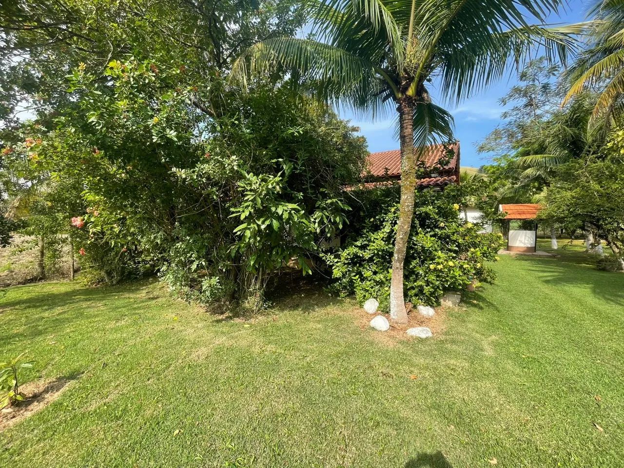 Sítio com 107000m2 ,lindo e bem localizado  - Foto 5