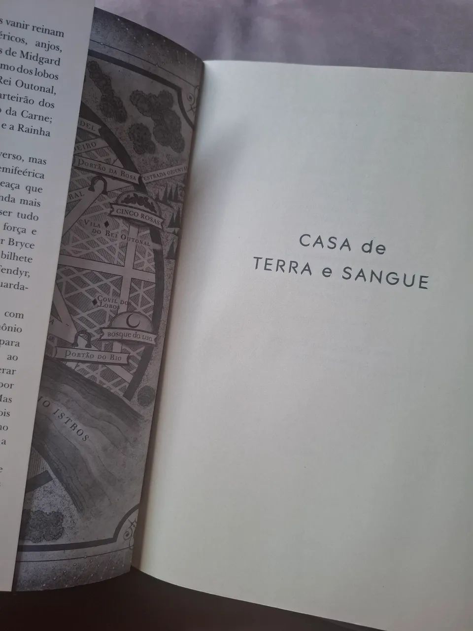 Livro Cidade da lua crescente - Foto 3