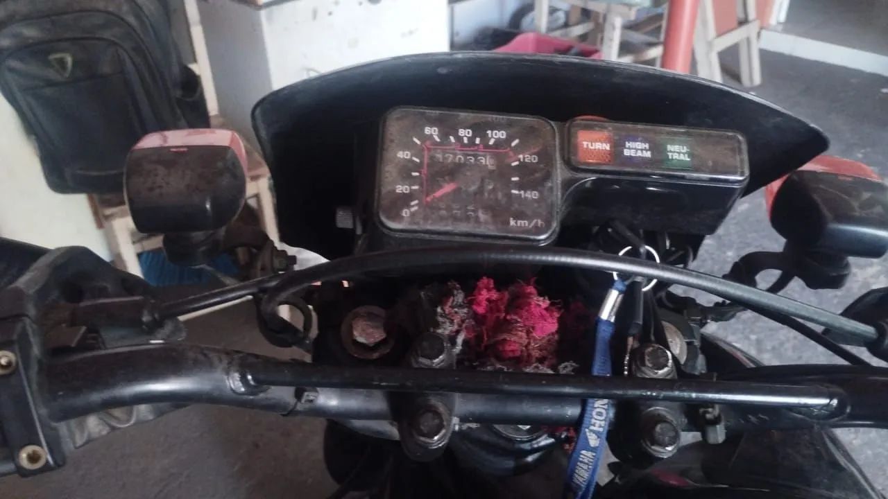 XLR 2002