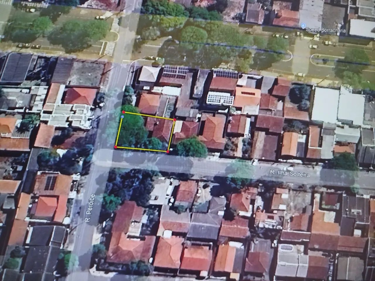 Foto - Maringá - Parque das Grevíleas 3ª parte