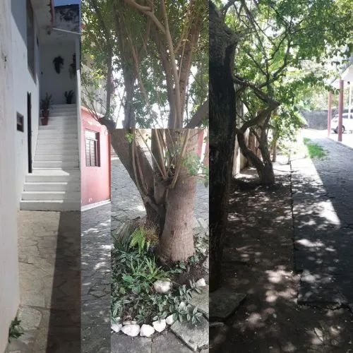 ALUGO NO SEIXAS - Foto 3