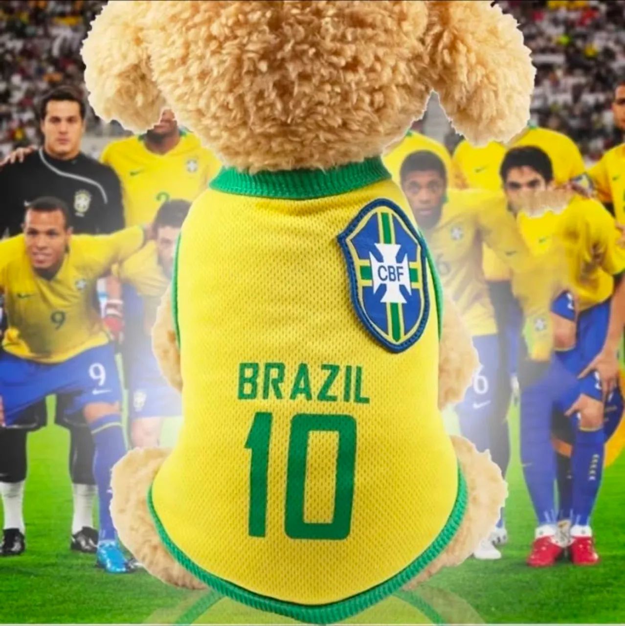 Roupinha Seleção Brasileira para Cachorro pequeno porte ? Camisa Pet Futebol ? - Foto 6