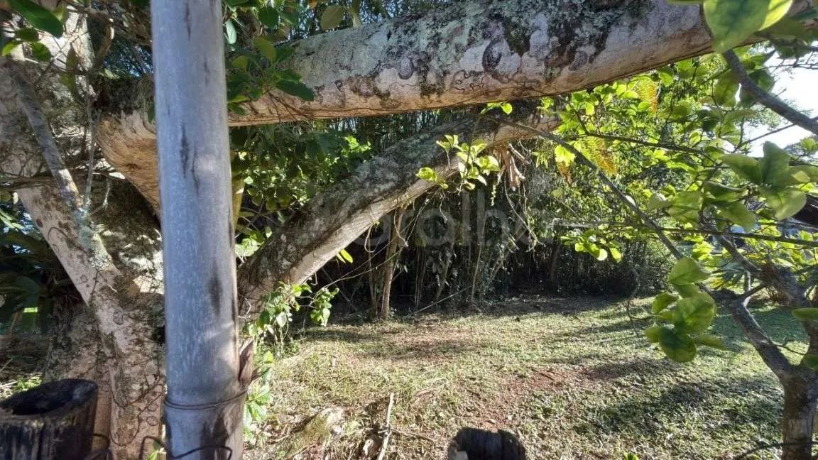 Terreno para Venda em Florianópolis, Ponta das Canas - Foto 4