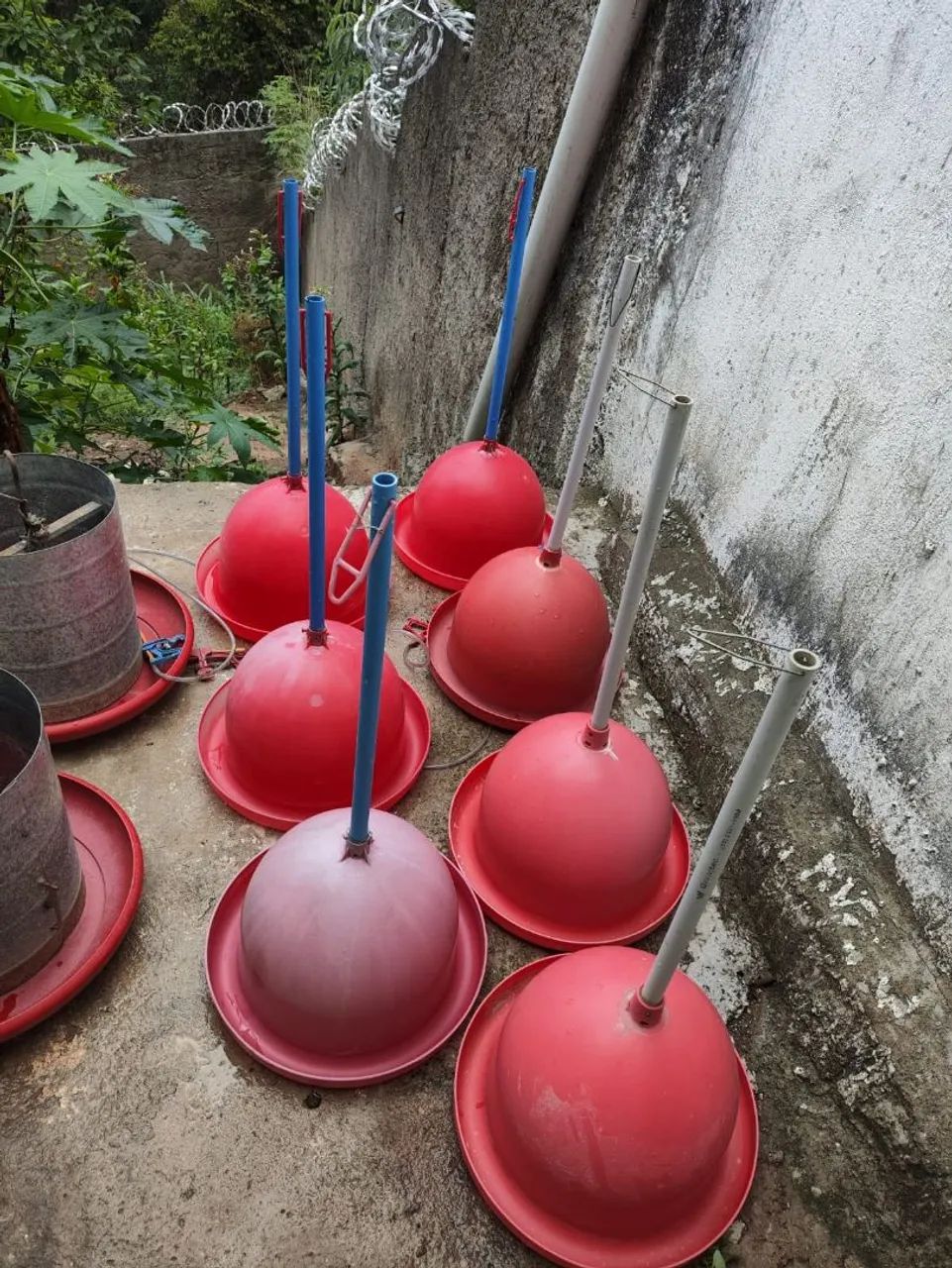 Bebedouro e comedouro - Foto 4