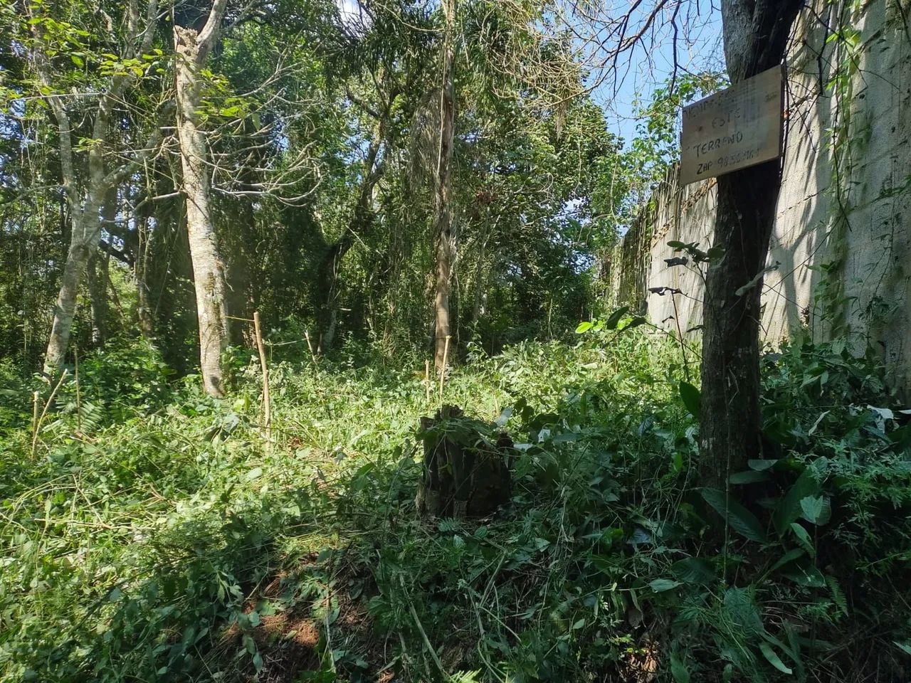 Terreno - Foto 4