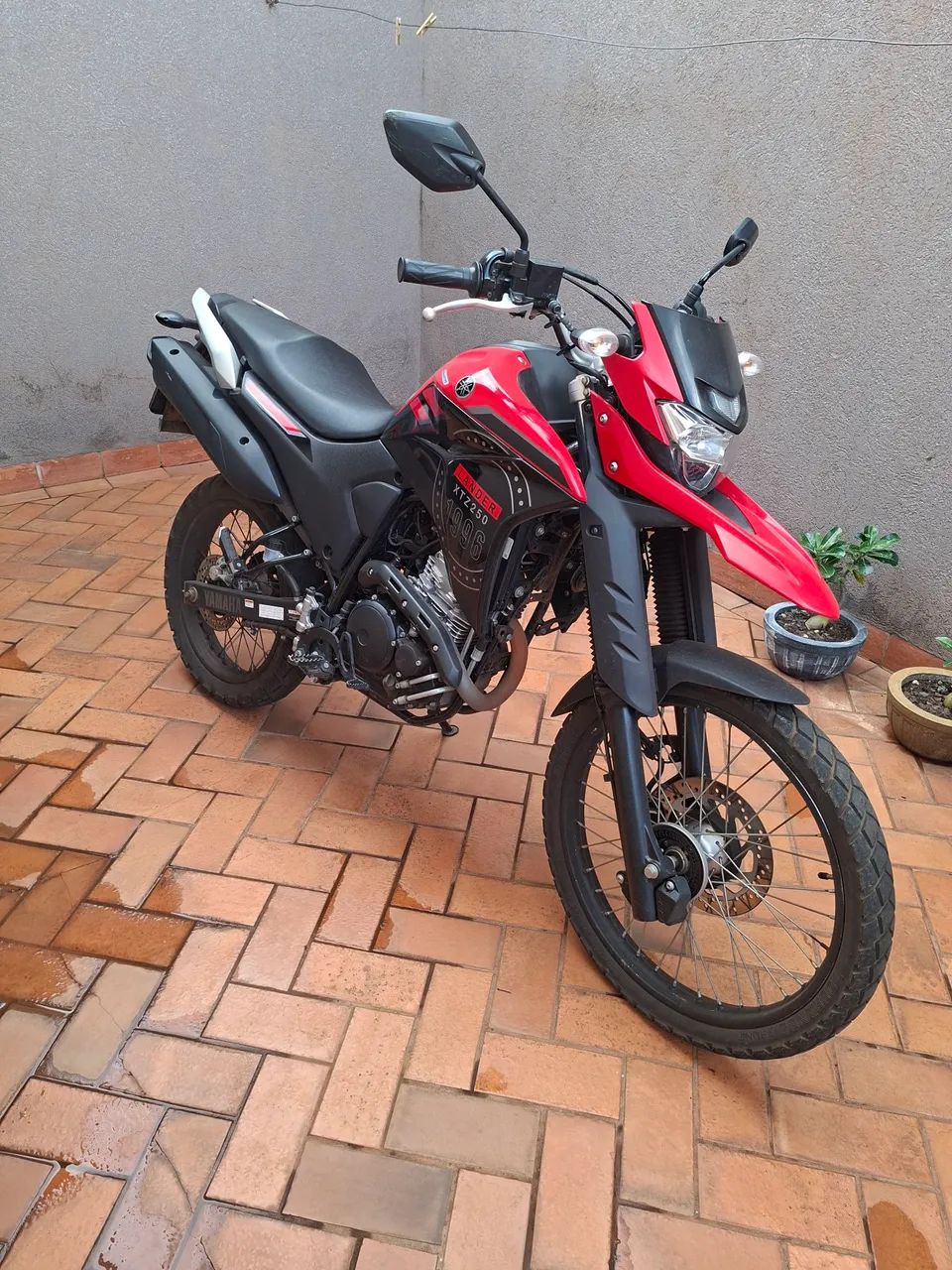 Vendo lander 