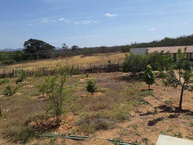 Chácara em Afogados da Ingazeira, 20 mil M² de Área, casa com 2 quartos - Foto 15