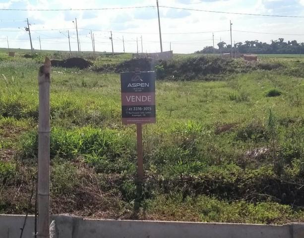Terreno - Jardim Casa Branca - Arapongas - Foto 3