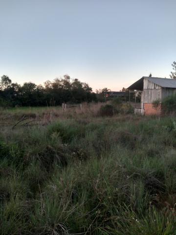 Terreno na beira da br 290! - Foto 2