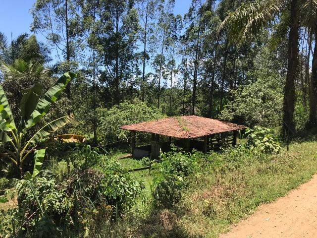 Fazenda na estrada Ilhéus/ Sambaituba - Foto 4