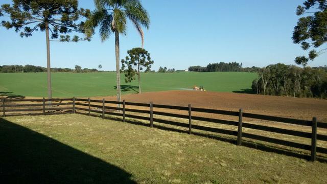 Fazenda /Lapa - Foto 8