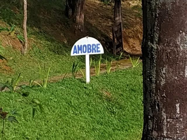 Sítio Amobre - Passa Três RJ - Foto 4