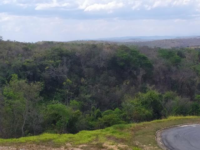 Lotes Com Vista Linda e Fáceis de Pagar em Lagoa Santa - Foto 6