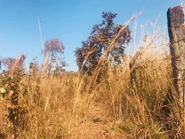 Vendo chácara com 10 hectares ha 4km de Cuiabá na saída para Chapada - Foto 5