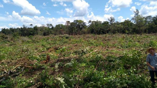 Fazenda em Marcelândia - Foto 10