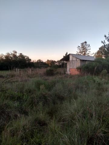 Terreno na beira da br 290! - Foto 3