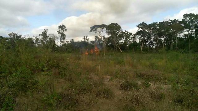 50 hectares valor 45000 região na região de bom Jardim - Foto 5