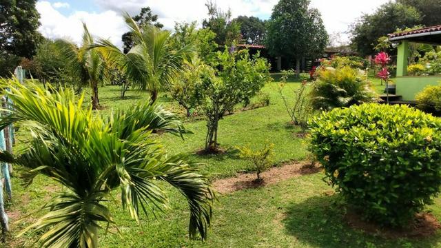 Belíssima chácara na região de São Gonçalo, casa com piscina - Foto 3