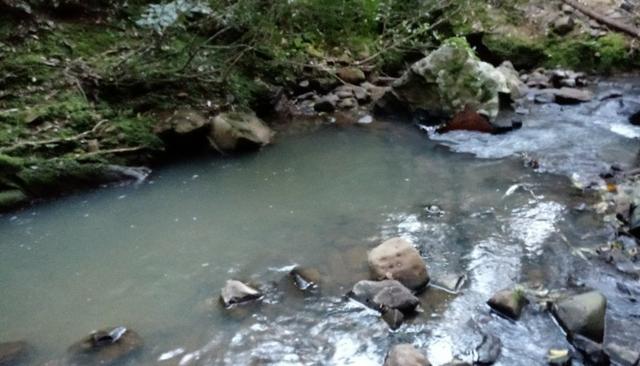 Chácara 3,2 Ha Fazenda Souza - Foto 8