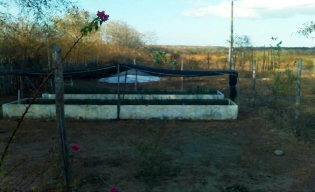 Casa com Terreno - Foto 3