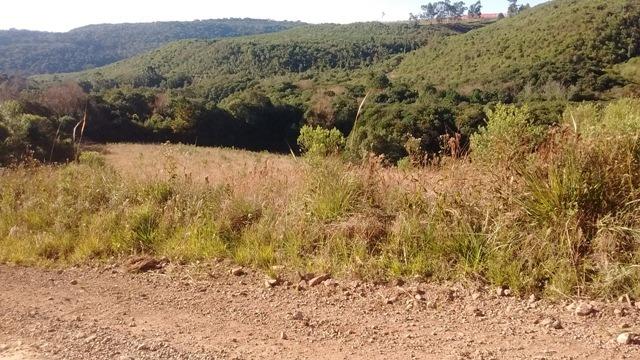 Chácara 2,0 Ha Faz. Souza - Foto 3