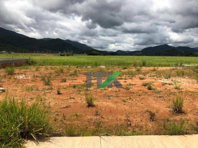 Terreno à venda, loteamento jardim europa, 575 m² - santa regina - camboriú/sc - Foto 3