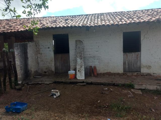 Propriedade de 13.5 hectares, escriturada, entre Glória do Goitá e Pombos-PE - Foto 3