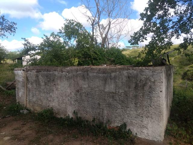 Propriedade de 13.5 hectares, escriturada, entre Glória do Goitá e Pombos-PE - Foto 11