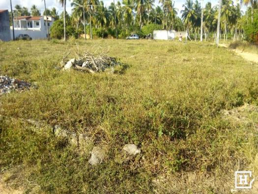 Terreno à venda - mosqueiro (zona de expansão)