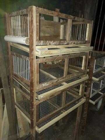Gaiolas para codornas - Foto 2