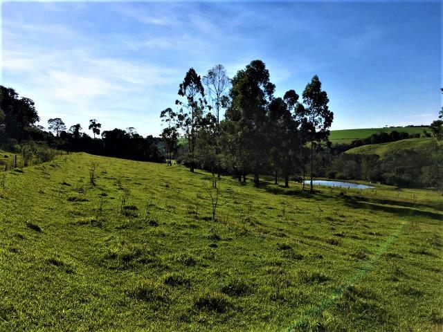 Sítio em Céu Azul - Foto 8