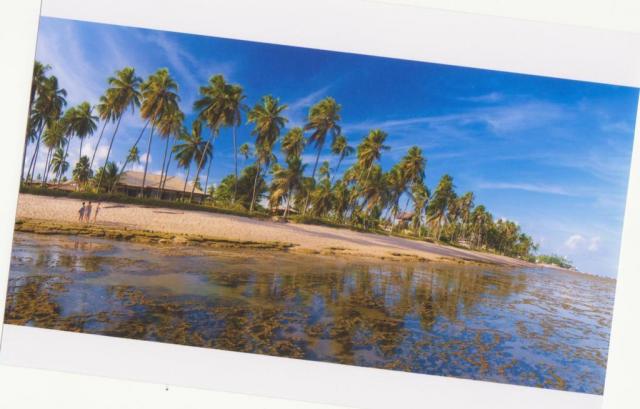 Casa à venda, 3 quartos, 3 vagas, Praia do Forte - Mata de São João/BA - Foto 15