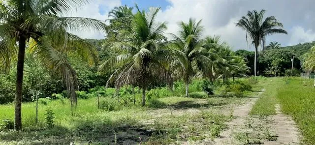 Granja proximo ao condominio riserva alhandra