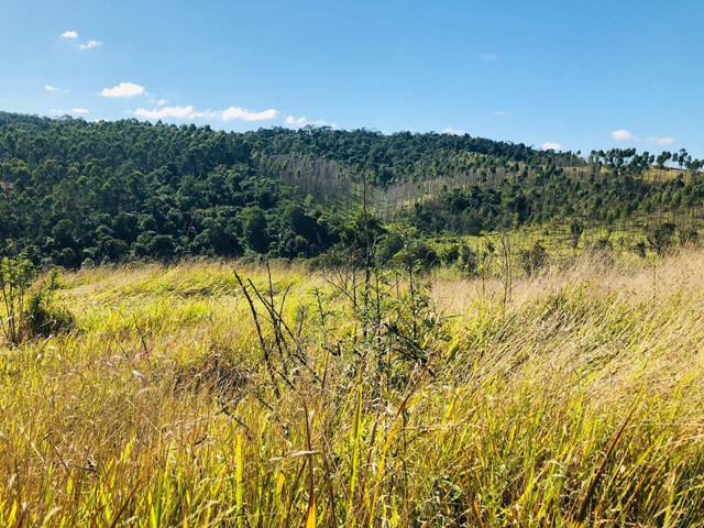 seu terreno de 1000m2 pra sua chacrinha a 15minutos de Mairinque (De@ - Foto 5