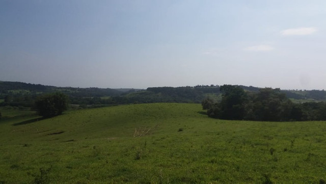 Vendo Excelente Sitio em Torre de Pedra ao lado Fazenda Sao Jorge - Foto 7