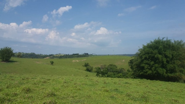 Vendo Excelente Sitio em Torre de Pedra ao lado Fazenda Sao Jorge - Foto 12