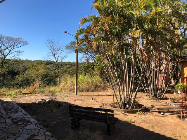 Sitio Merediano 15.5 alq ac troca Rio Preto - Foto 7