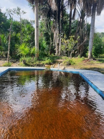 Você vai perder esta oportunidade, Condomínio Residencial de Chácaras a 15 min.de Manaus - Foto 3