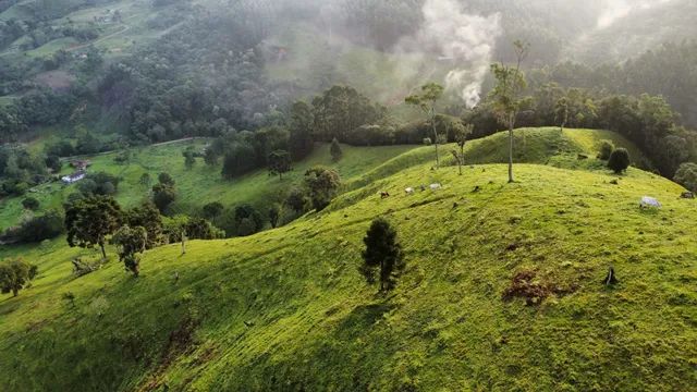 ANITÁPOLIS/SC - Belíssimo terreno com 40hectares  - Foto 3