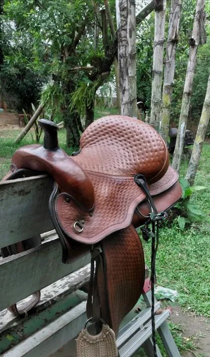 Cavalo bom de montar - Foto 6