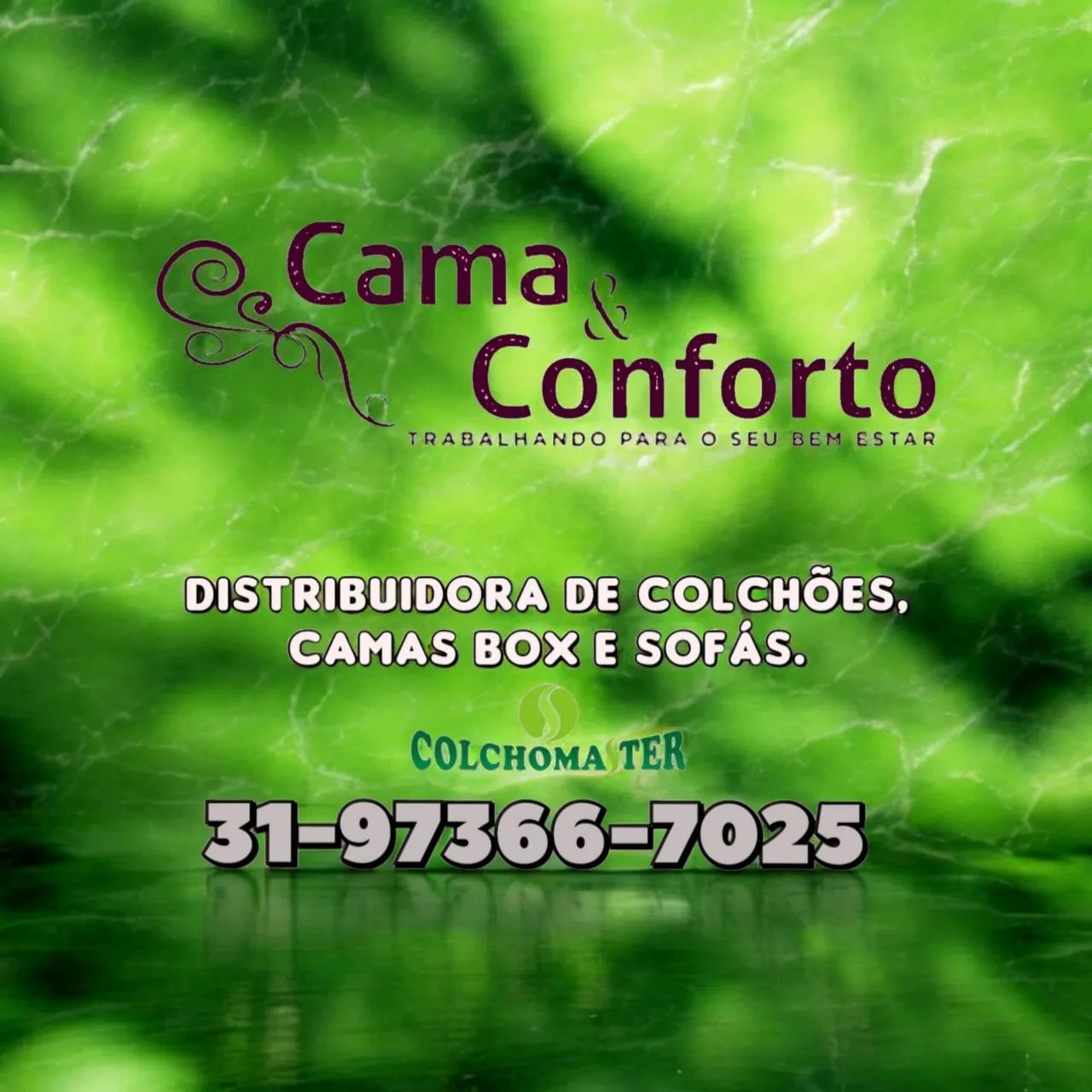 CAMA SOLTEIRO BOX / ORTOPÉDICA / 6CM DE ESPUMA D33 / MODELO 2409272048 - Foto 2