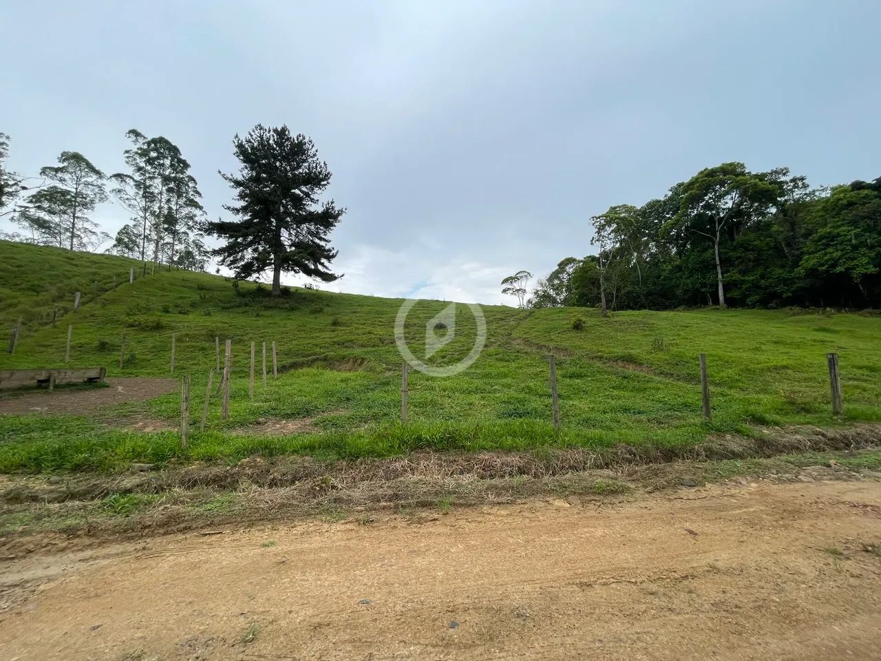 Terreno com pastagem de ampla metragem - Foto 3