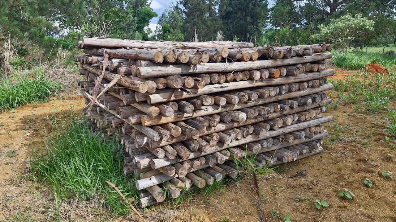 Madeiras para fundação