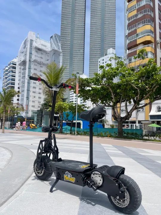 Scooter Patinete Elétrico Two Dogs 800w