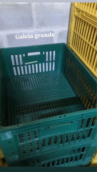 Galeia grande > pronta entrega  - Foto 2
